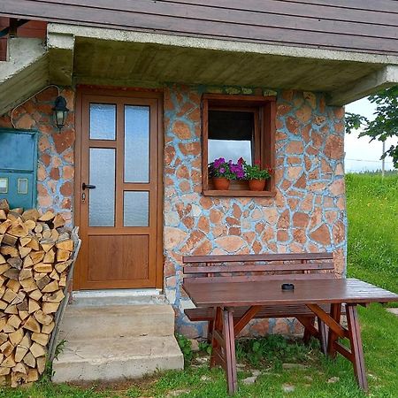 Family Farm Apartments Zabljak  Exterior photo